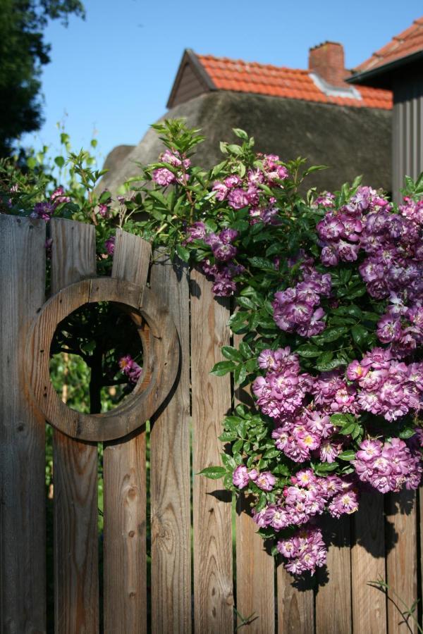 Lueuentjenest Daire Elsfleth Dış mekan fotoğraf